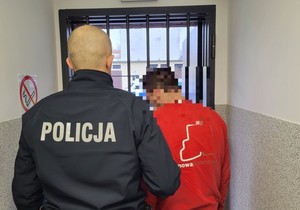 Okłamał policjantów, że spieszy się na porodówkę, był poszukiwany i popełnił dwa przestępstwa