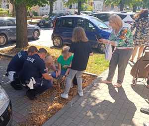 Policjanci wybili szybę, aby ratować zamkniętego w samochodzie psa