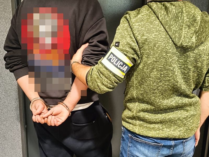 Policja w Sycowie zatrzymała sprawcę kradzieży z pojazdów
